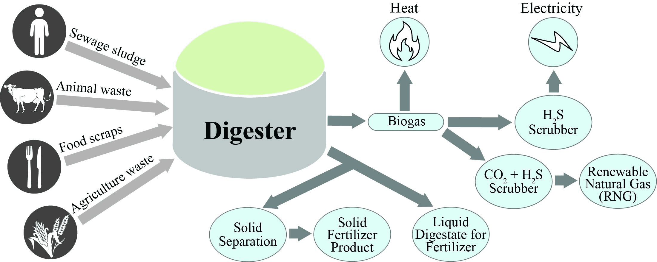 Anaerobic digester process diagram